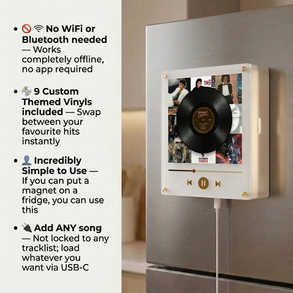 MagneVinyl Music Box
